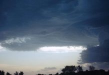 Parashikimi i motit për të premten