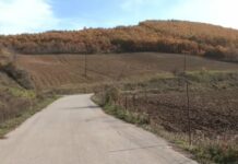 “Është rrezik me dalë natën”, fshati Dyz pa ndriçim publik