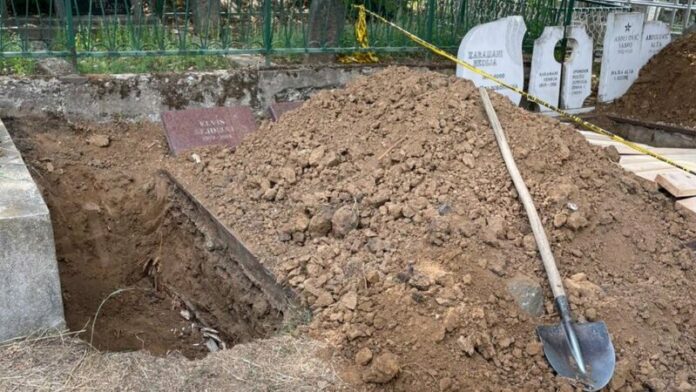 mitrovice-veri-800x450