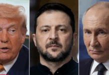 Trump dërgon Witkoffin në takim me Putinin, ndërsa vazhdojnë bisedimet për paqen në Ukrainë