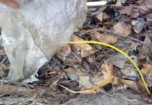 Gjetja e detonatorëve në Leposaviq, Sveçla: Serbia po vazhdon planifikimet për sulme terroriste përmes bandave kriminale