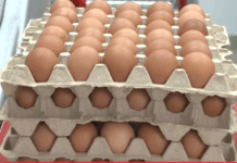 Çmimi i vezëve gati 6 euro – Autoriteti i Konkurrencës nis inspektimet