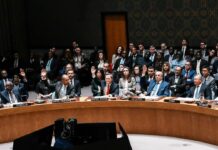 Këshilli i Sigurimit të OKB-së mbështet planin e Trumpit për Gazën