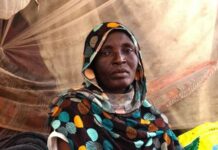 Masakrat në Sudan, OKB-ja nis misionin për hetim