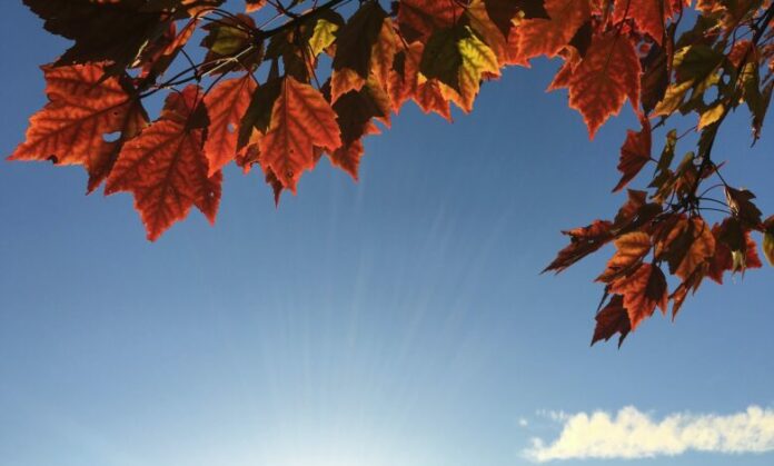 aaron-burden-1UCj8BZEqRw-unsplash-780x470