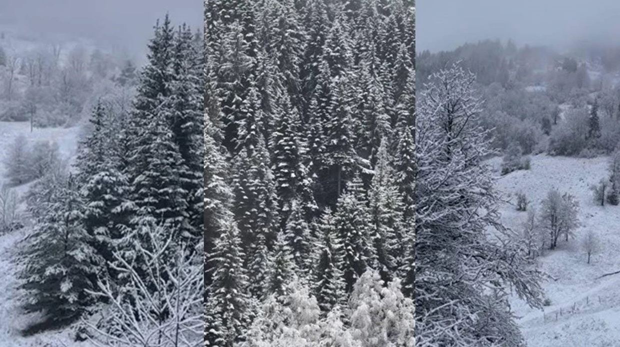 Parashikimi i motit për sot  apelohet për kujdes ndaj ngricave