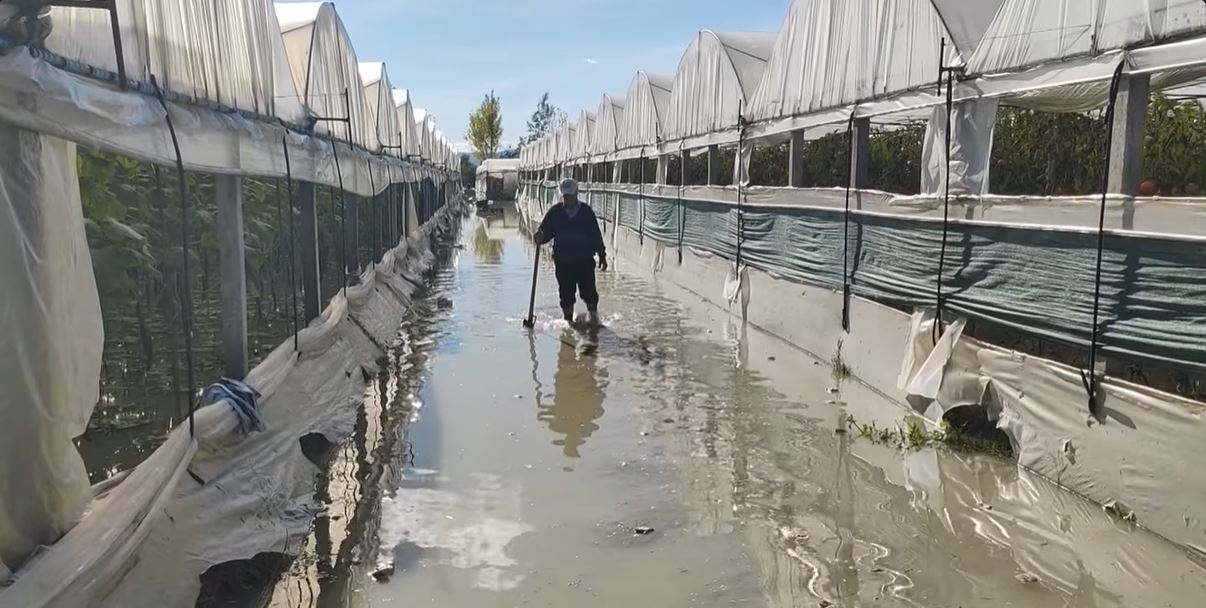 Dëme të shumta në bujqësi nga reshjet në Shqipëri