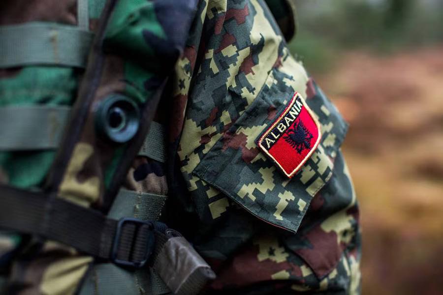 Begaj uron 113 vjetorin e Forcave të Armatosura të Shqipërisë