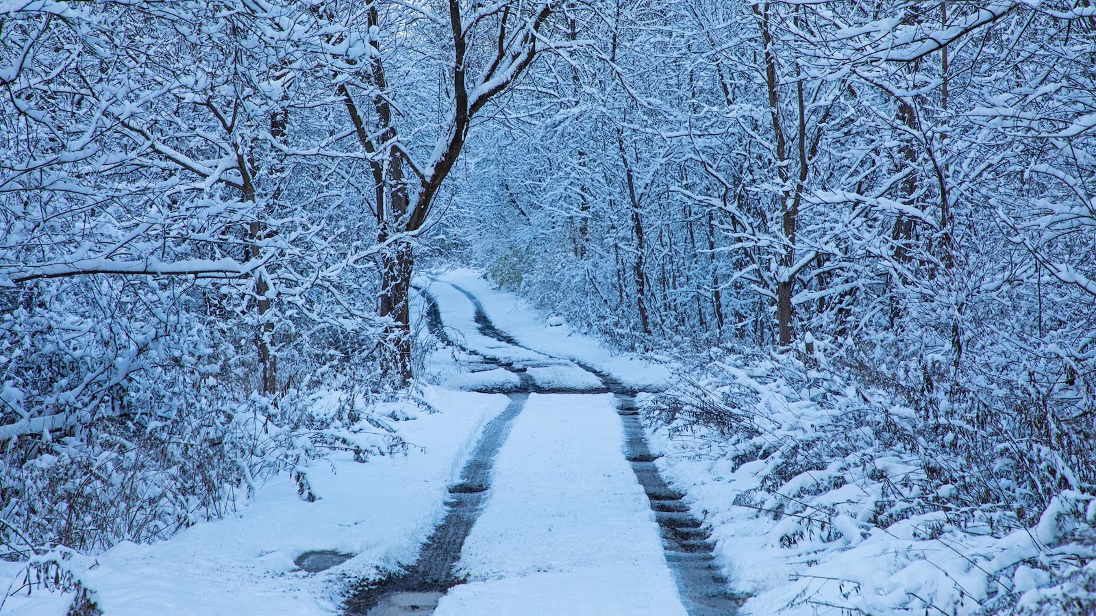 Parashikimi i moti për javën e ardhshme  temperaturat bien deri në  12 gradë