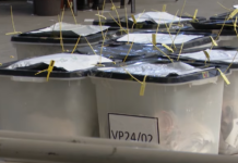 DnV kërkon rinumërim të votave të kandidatëve në të gjithë vendin