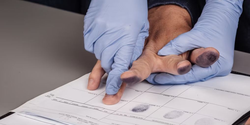 Serbia blen me fonde të BE së teknologji nga kompania e sanksionuar ruse