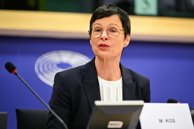Kos: Kosova përballë vendimeve vendimtare në rrugën drejt integrimit evropian