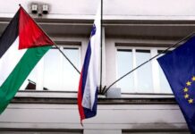 Presidentja sllovene ngre flamurin palestinez në Pallatin Presidencial