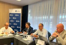 INDEP: Energjia e ripërtëritshme, shtylla kryesore e tranzicionit energjetik në Kosovë