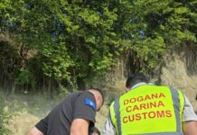 Pamje nga operacioni kundër krimit të organizuar, ku u arrestuan 9 persona