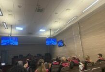 36 të pandehurit për thirrjet nacionaliste në “Vidovdan” dënohen me nga 700 euro dhe dëbohen nga Kosova