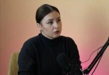 Kush është Jovana Radosavljeviq: Nga menaxhimi i fondeve për dialog dhe integrim deri tek strukturat paralele të Beogradit