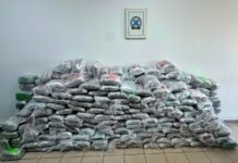Arrestohet një shtetas i Kosovës në Greqi, sekuestrohen 324 kilogramë kanabis