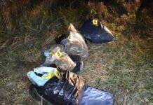 Sekuestrohen 9.4 kilogramë marihuanë në brezin kufitar në Gjakovë