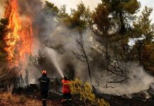 Situata e zjarreve në Shqipëri, katër vatra mbeten aktive dhe dy nën mbikëqyrje