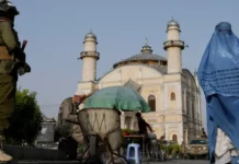 OKB: Mbi 50 gra u arrestuan në Afganistan për shkelje të kodit të veshjes