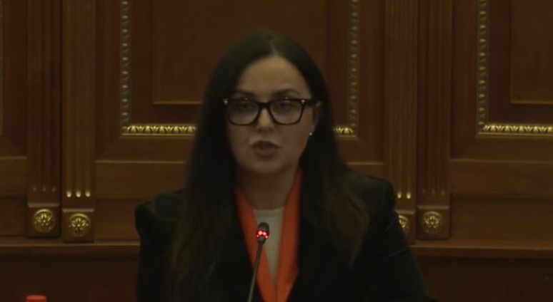 Lushaku-Sadriu kërkon veprime urgjente kundër dhunës në familje: Gratë të mbrohen para se të vriten